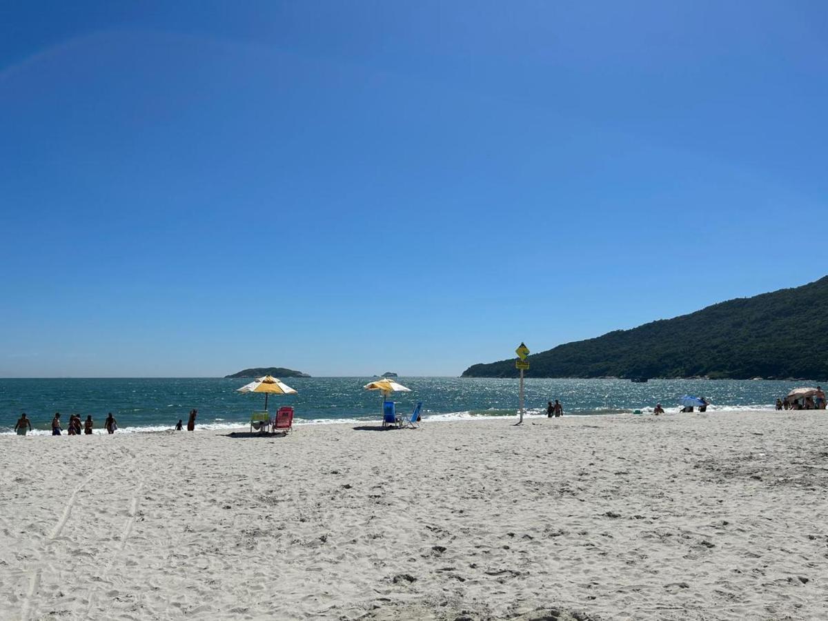 Golfinhos Florianopolis