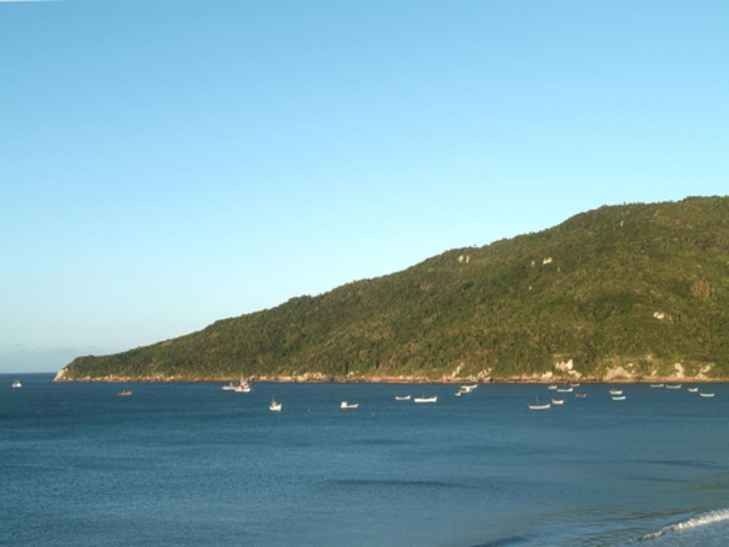 Aparthotel Golfinhos 4*